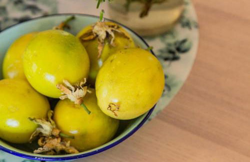 Eco Casa Salitre,Montaña, Campo y Playa - Foto 64