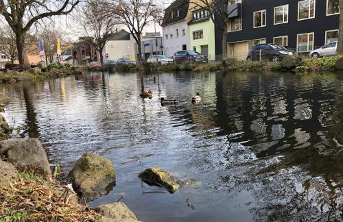 Ferienwohnung "am Ochsentor" - Foto 18