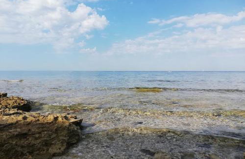 Apartments Oleander Lovrečica-residence with pool - Photo 66