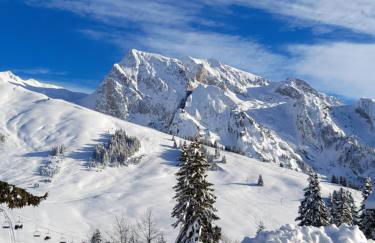 Appartement au cœur des Aravis - Foto 7