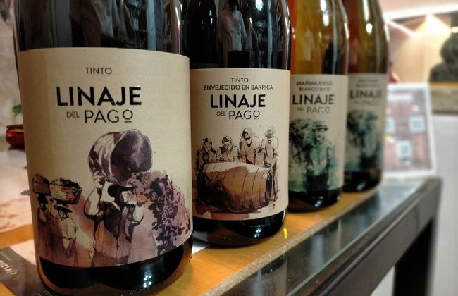 Free tour del vino en El Sauzal - Foto 8