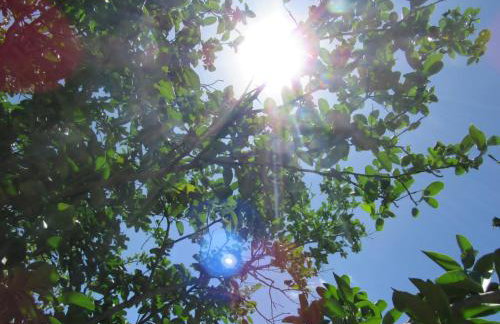 Chácara Sossego - Foto 30