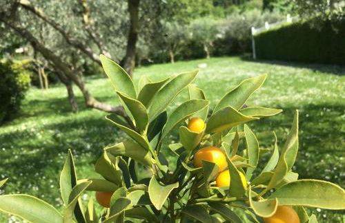 Residence Gonda&Giuliano - Photo 57