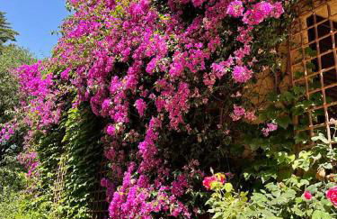 Can Còdol de Fluvià - Casita - Foto 28