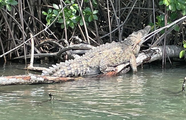 Sians Starfruit Villa - Foto 18