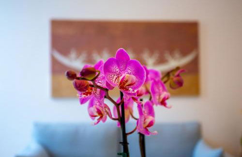 Cosmo 38 Luxury Apartments - Free Parking - Photo 42