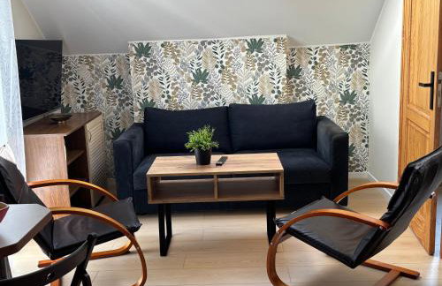 Apartamenty LeVilla - Photo 17