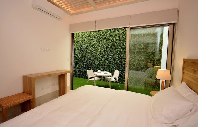 Mayan Monk - Photo 16