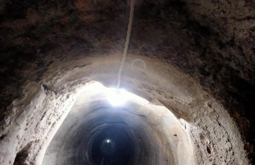 VTAR Casa del AOVE - Foto 23