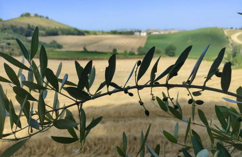 La Casa del Duca - Foto 17