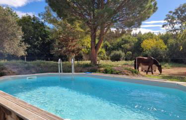 Roulotte en bois Sud France - Foto 30