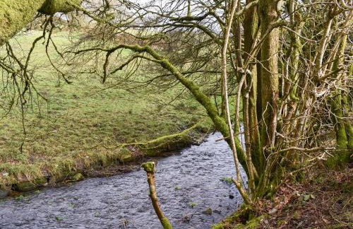 15 Pebble Cottage - Foto 16