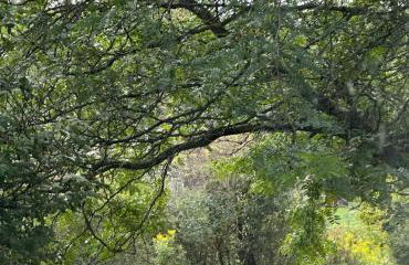 Rutland Hill Farmhouse - Foto 40