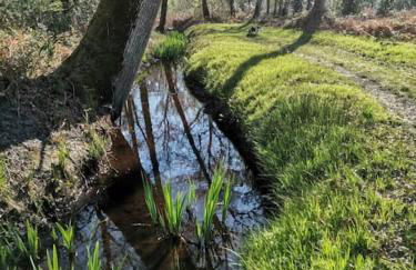 Maison des fleurs d'Ajoncs - Photo 9