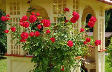 Ferienwohnung Sägemühle - Foto 33