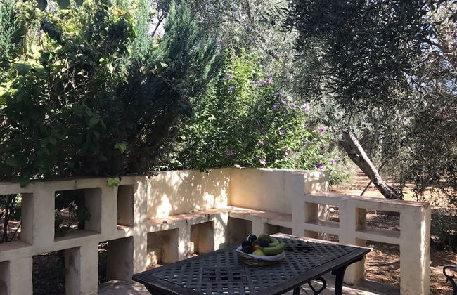 La Casita De Lola - Photo 28