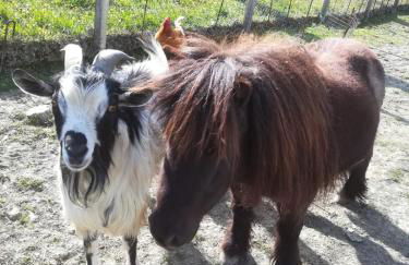 Agriturismo Selvella - Foto 17