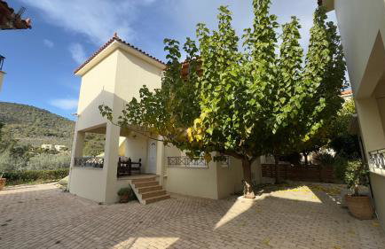 Miramar Complex - Korfos - Foto 47