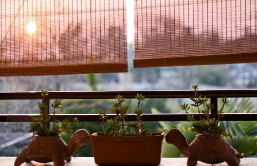 Near Paradise - Photo 15