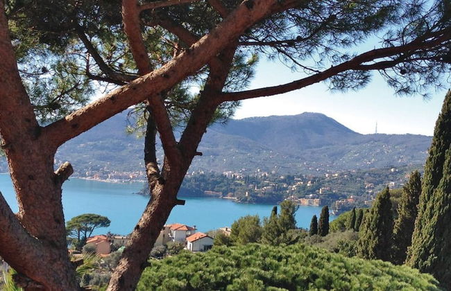 Villa With Pool in Recco Cinque Terr - Photo 36