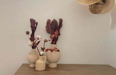 Vergel San Pedro - Foto 15