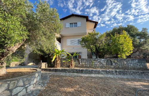 Olive stone Villa - Foto 4