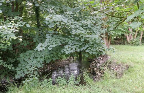 The Fountain Lodge - Photo 30