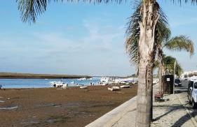 Casinha Secreta - A Gema Escondida da Santa Luzia - Foto 23