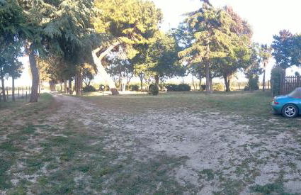 Al Vecchio Casale della Posta - Foto 15