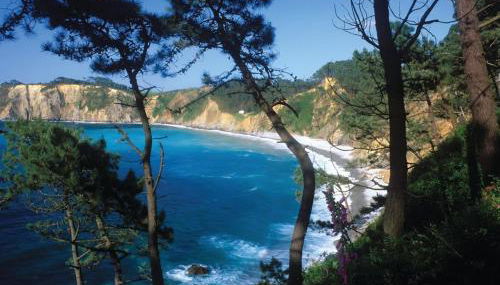 Apartamentos Castello - Foto 5, Other