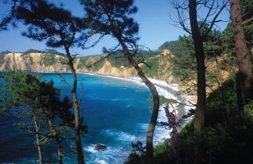 Apartamentos Castello - Foto 5