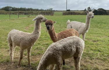 The Retreat Cornwall holiday home with hot tub - Foto 10