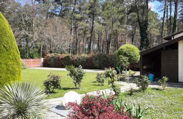 Gite climatisé L'Orée des Landes Proche Center Parcs - Foto 14