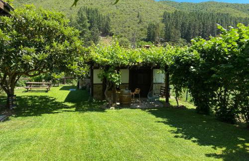 Apartamento Valverde II - Foto 52