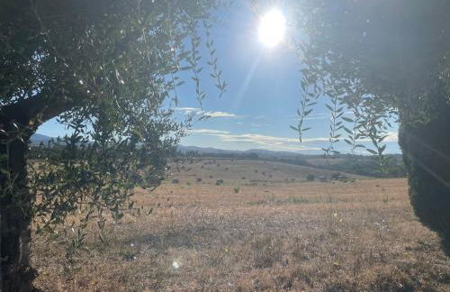 Tenuta Agave - Photo 12