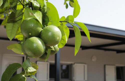 Seaside retreat - Foto 9