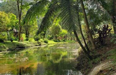 Friburgo Lagos p Pesca,Banho,Sauna,Campinho - Foto 19