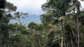 Chalé Gaia - Hospedagem Itatiaia - Photo 2