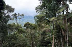 Chalé Gaia - Hospedagem Itatiaia - Foto 2