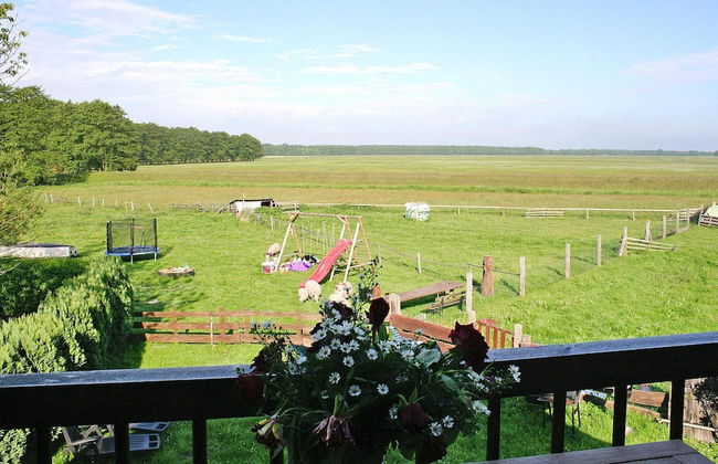 Holiday Home Haffschein, Monkebude - Foto 23