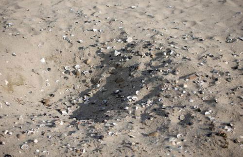 Chrisma Apartments - Foto 15