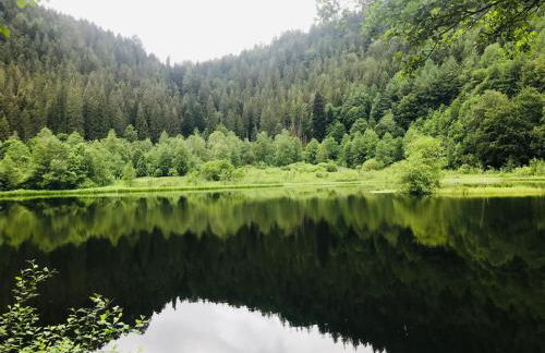 Haus Jenni im Schwarzwald, 3,5-Zimmer, große Terrasse - Foto 54