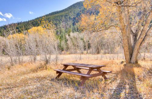 Close to Hot Springs Chalk Creek Meadows Home! - Photo 39