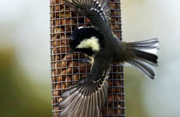 Elm Tree Cottage - Photo 4