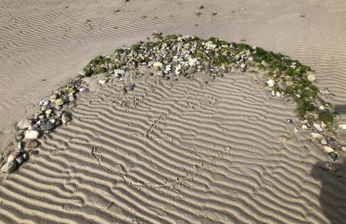 Ferienwohnung Vogelsang - Foto 29