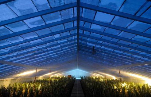 Herdade do Ananás - Photo 41