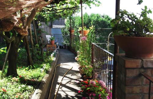 Le Mimose - Photo 29