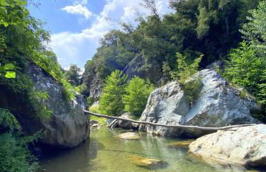Maison au calme piscine mer au coeur de la nature U Nuciolu - Foto 54