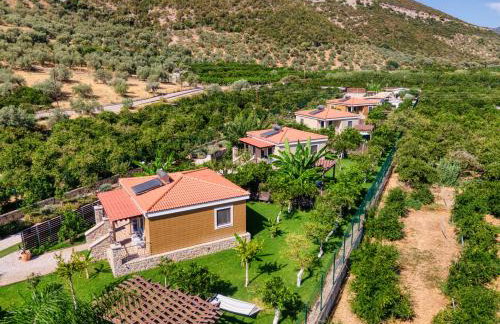 Desa Green Homes - Photo 8