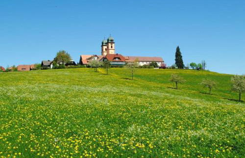 Landhuis Appartement Feldberg Uitzicht - Foto 1
